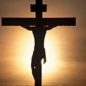 Meet your Posher, Raul